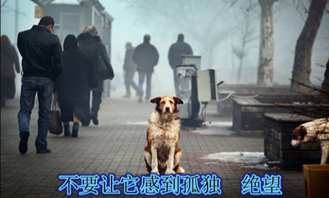 晋中晋中爱影圈微博微信转发案例